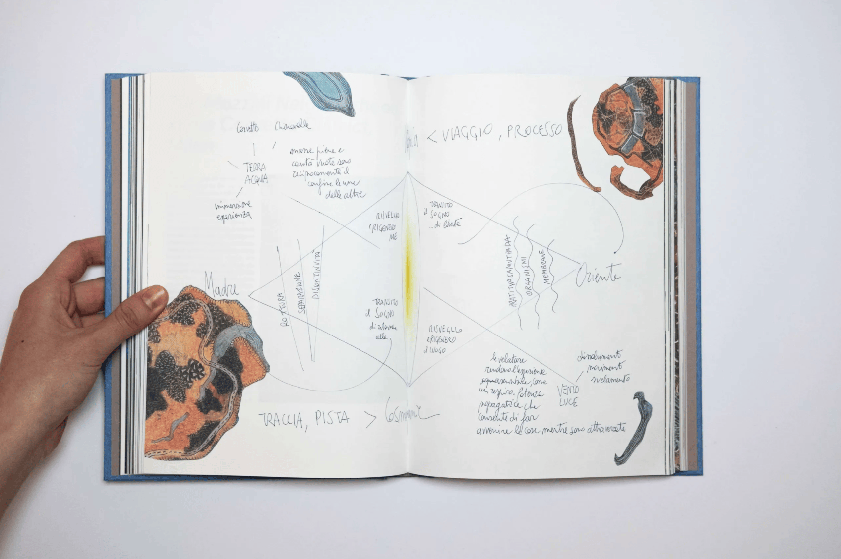 Crazy-Fish-Sing_sfogliato59