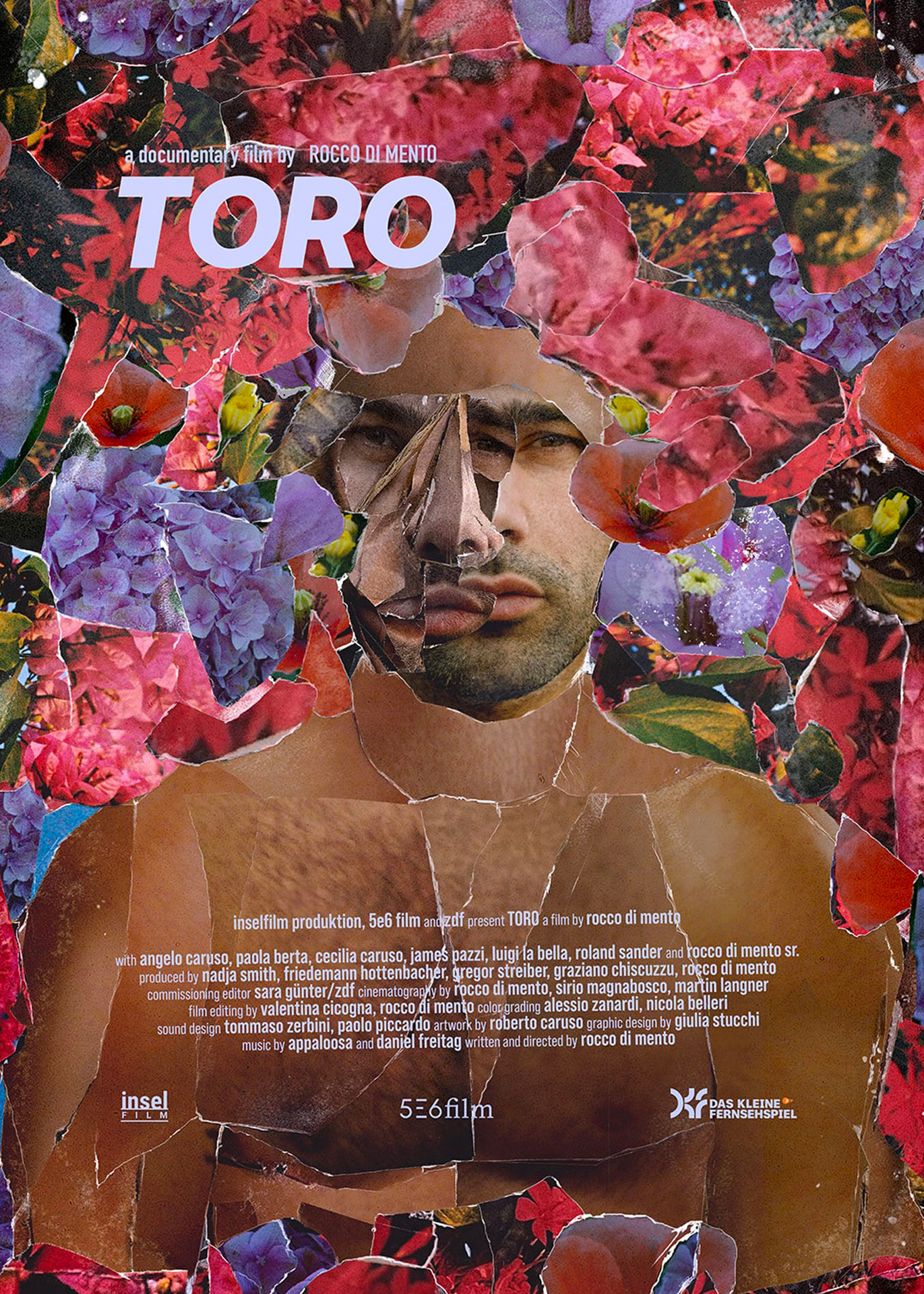 Toro